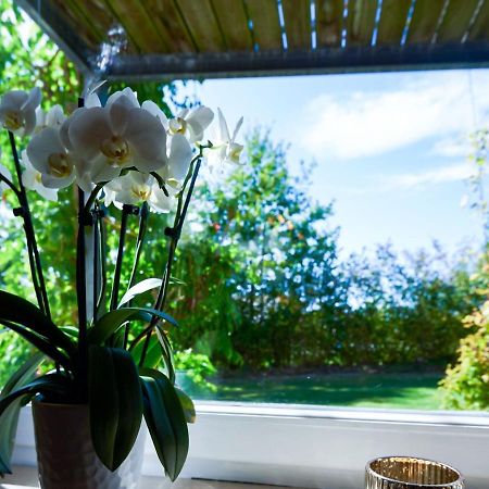 Nice Flat With Sauna Covered Terrace Garden And Tree House For Children Zandt エクステリア 写真