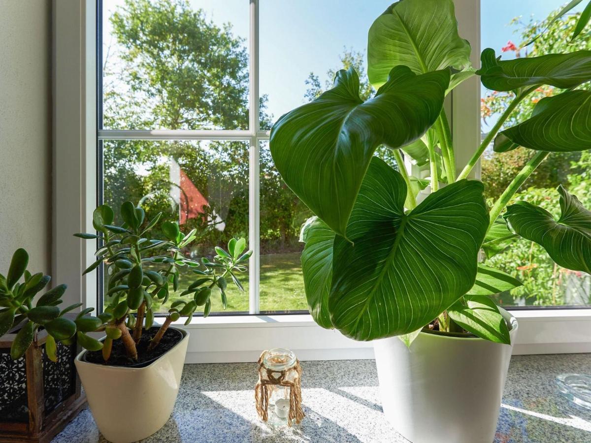 Nice Flat With Sauna Covered Terrace Garden And Tree House For Children Zandt エクステリア 写真