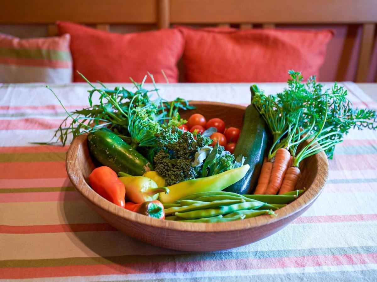 Nice Flat With Sauna Covered Terrace Garden And Tree House For Children Zandt エクステリア 写真